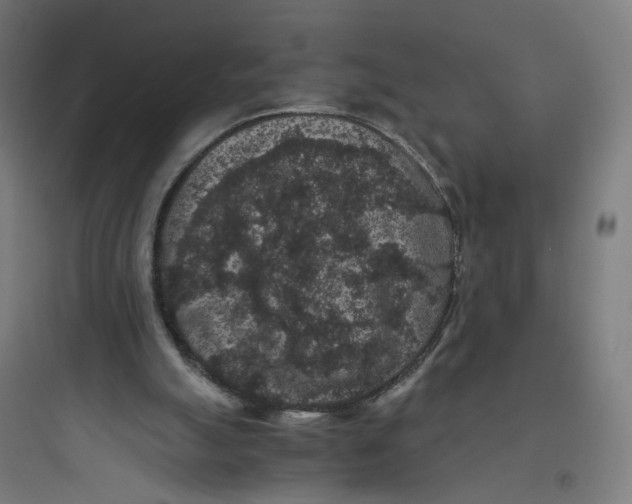 X0000093750055200711061057