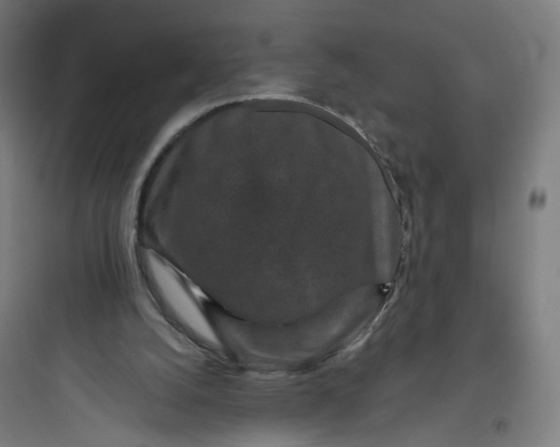 X0000093750056200711061057