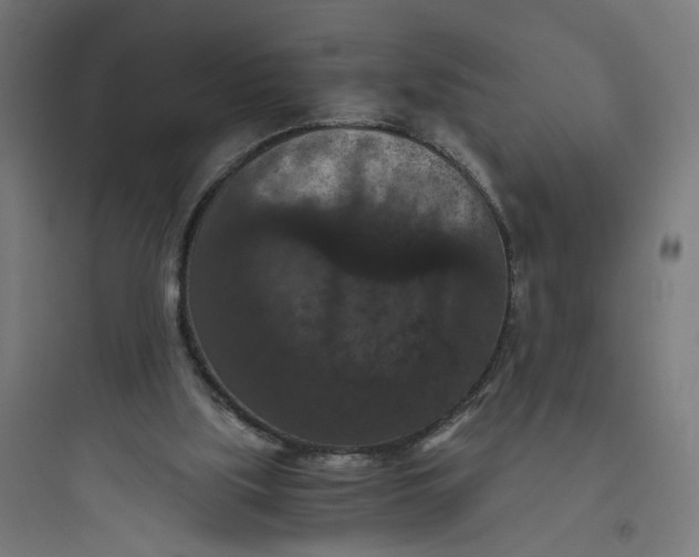 X0000093750059200711061057