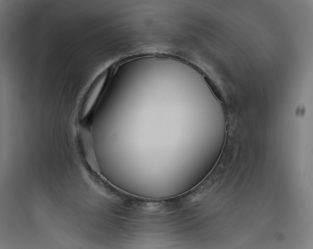 X0000093750060200711061057