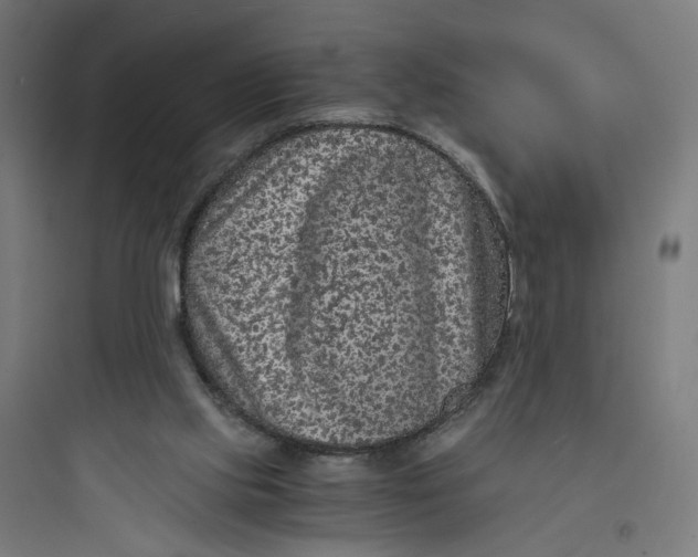 X0000093750061200711061057