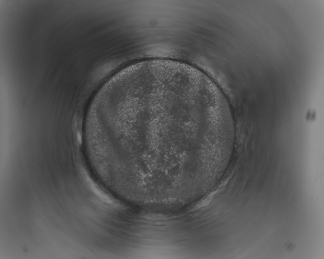 X0000093750062200711061057