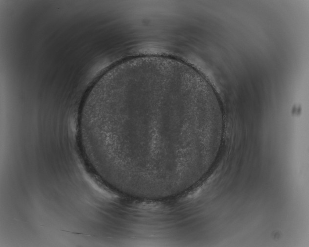 X0000093750063200711061057