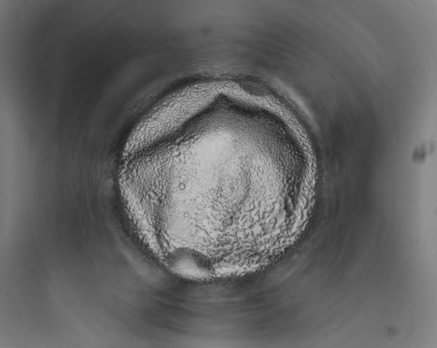 X0000093750065200711061057