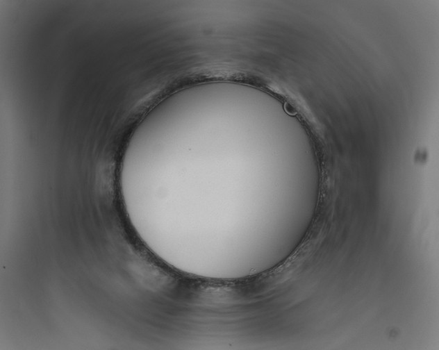 X0000093750066200711061057