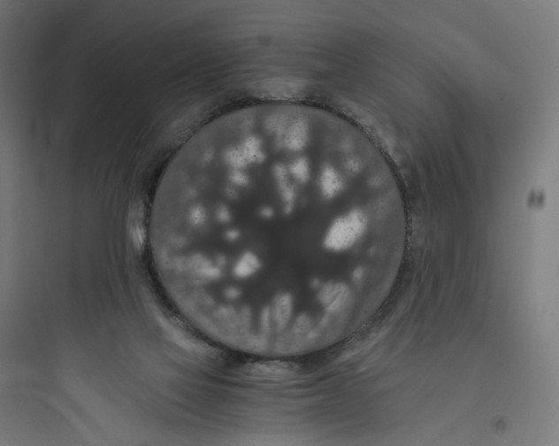 X0000093750069200711061057