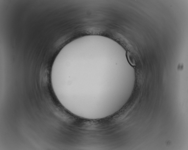 X0000093750071200711061057