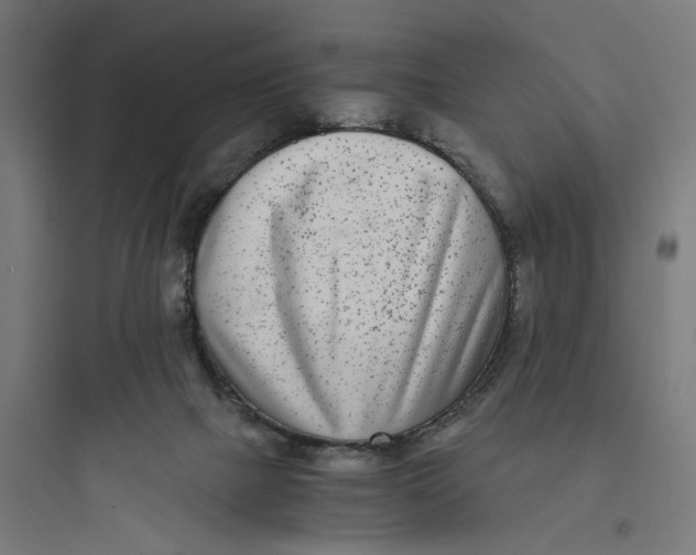 X0000093750073200711061057