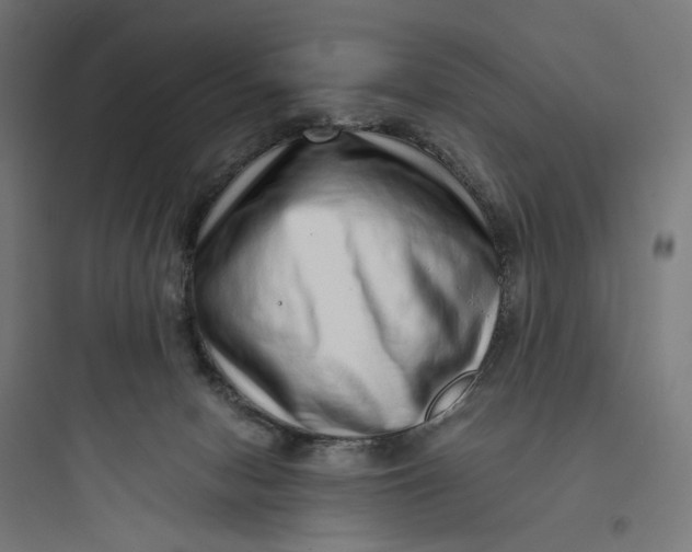 X0000093750078200711061057