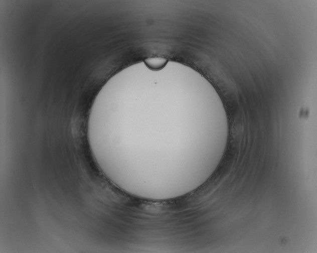 X0000093750079200711061058