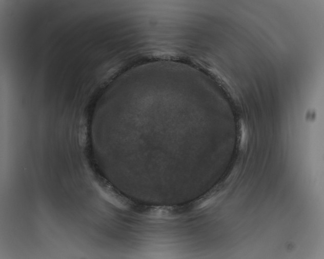 X0000093750080200711061058