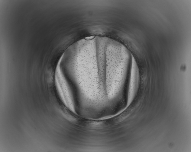 X0000093750081200711061058