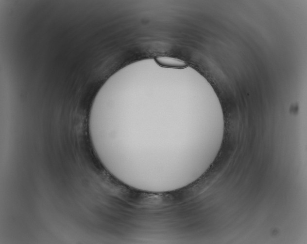 X0000093750083200711061058