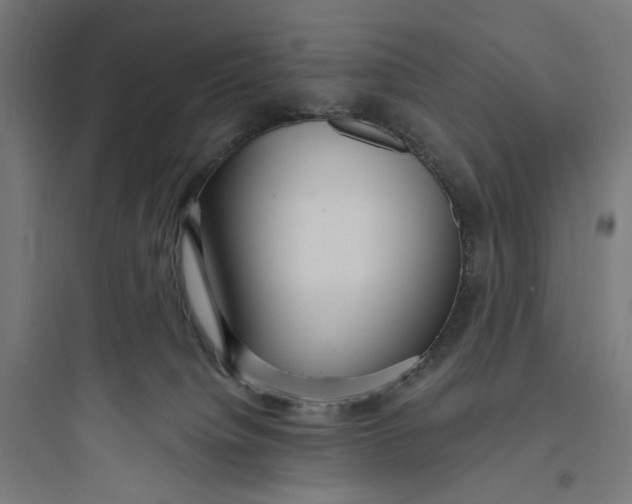 X0000093750084200711061058