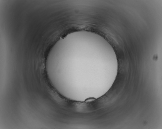 X0000093750085200711061058