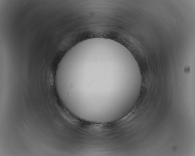 X0000093750086200711061058