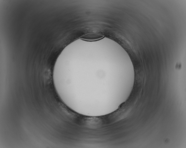 X0000093750087200711061058