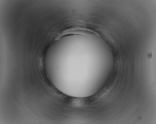 X0000093750088200711061058