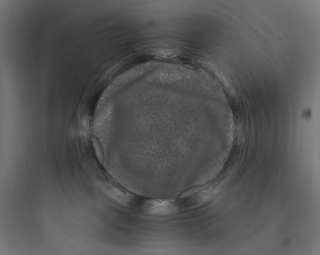 X0000093750093200711061058