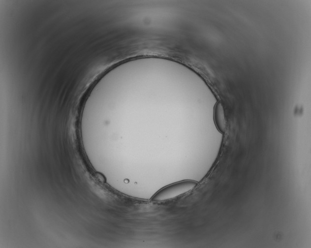 X0000093750098200711061057