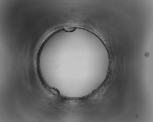 X0000093750103200711061057