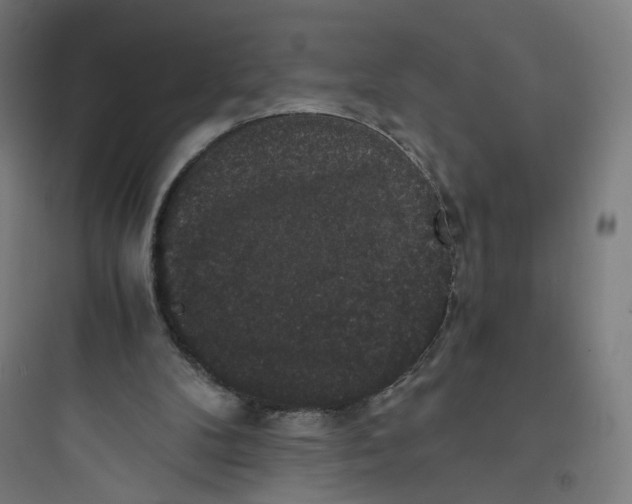 X0000093750104200711061057