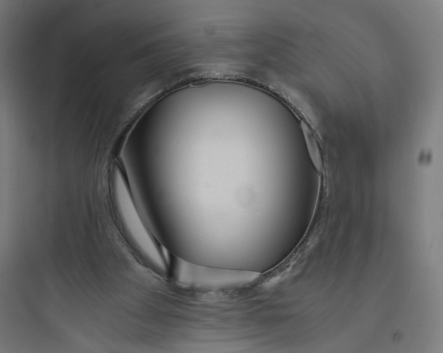 X0000093750105200711061057