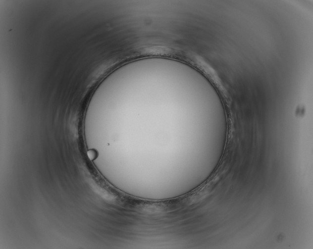 X0000093750106200711061057