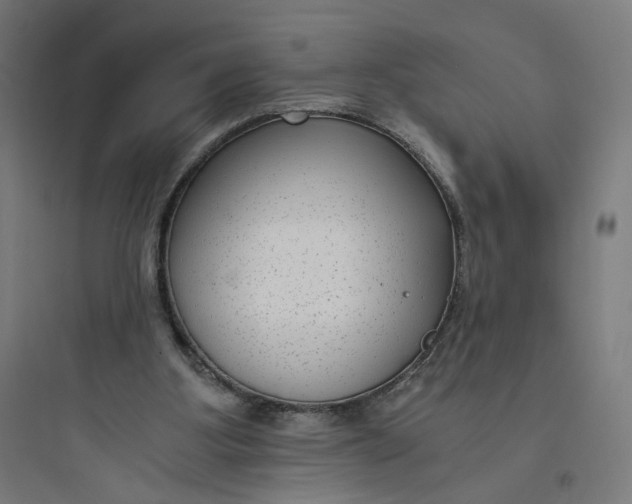 X0000093750107200711061057