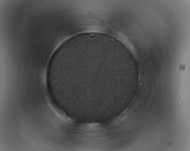 X0000093750108200711061057