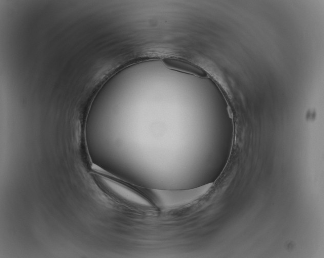 X0000093750109200711061057