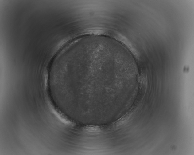 X0000093750110200711061057