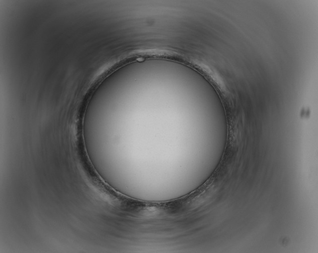 X0000093750111200711061057