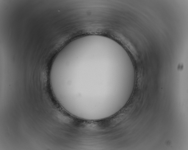 X0000093750113200711061057