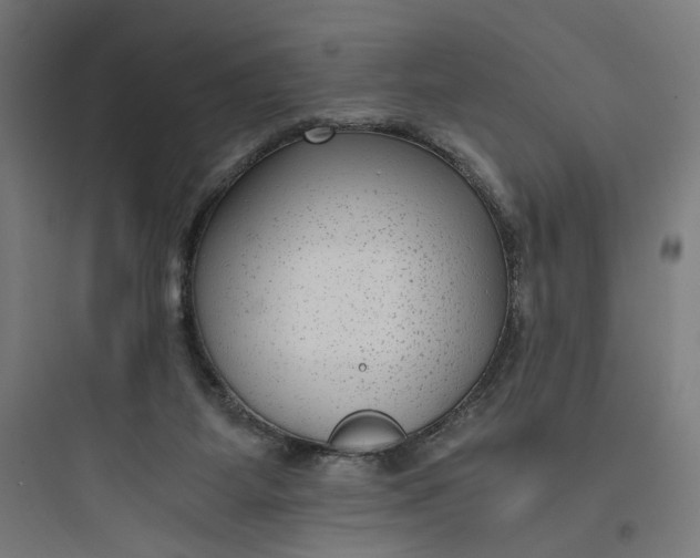 X0000093750115200711061057