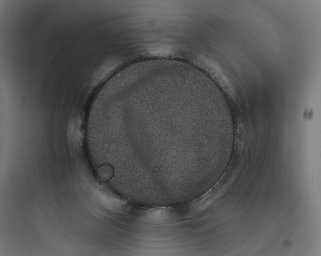 X0000093750116200711061057