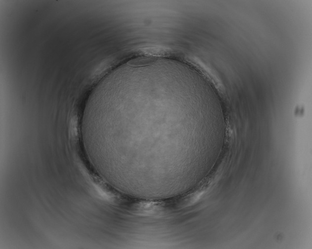 X0000093750117200711061057