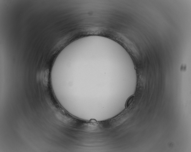 X0000093750118200711061057