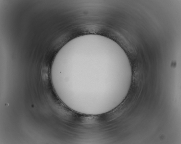 X0000093750122200711061057