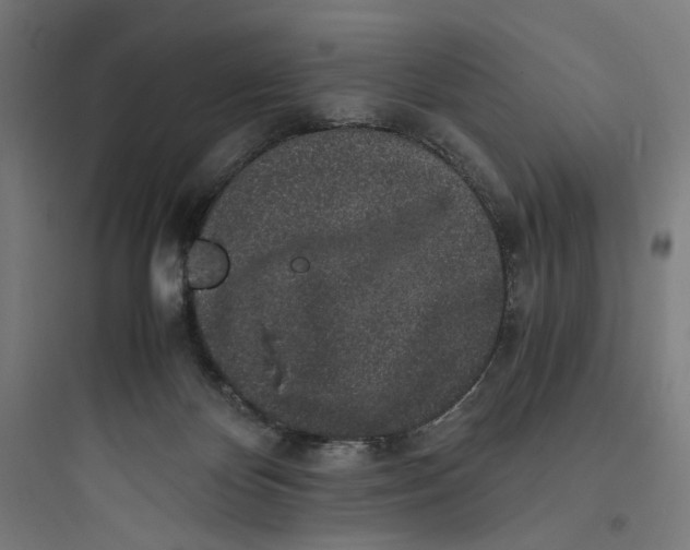 X0000093750124200711061057