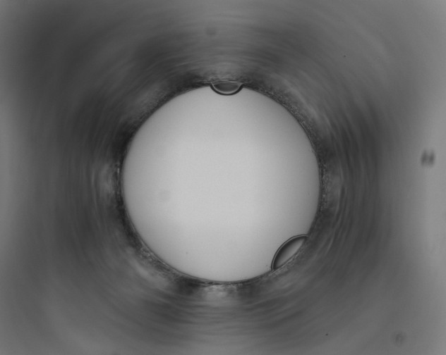 X0000093750126200711061057