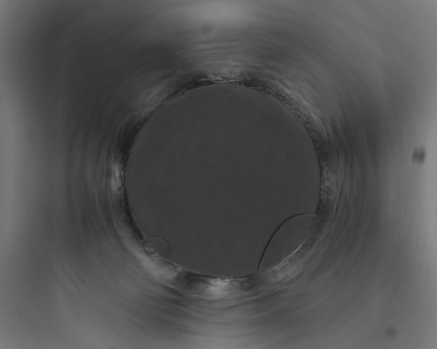 X0000093750130200711061057