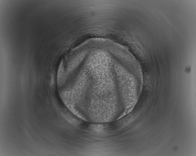 X0000093750131200711061057