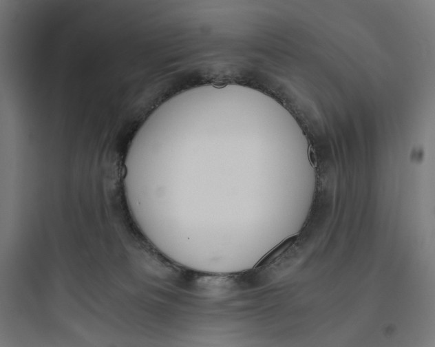 X0000093750133200711061057