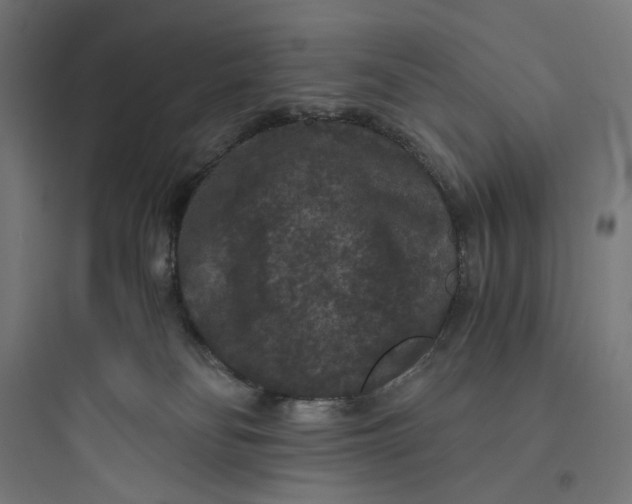 X0000093750134200711061057