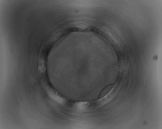 X0000093750136200711061057