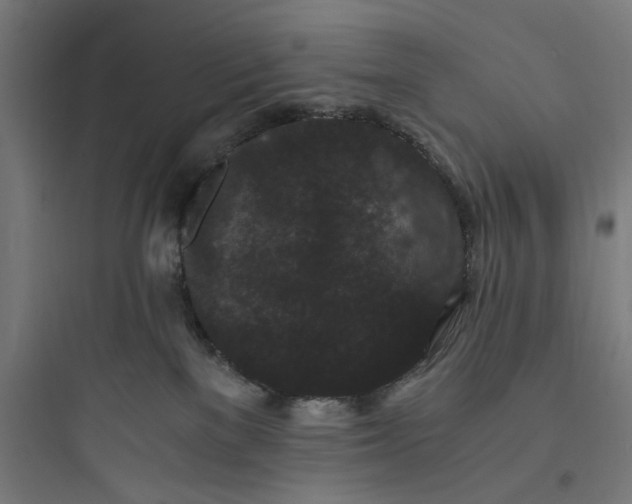 X0000093750137200711061057