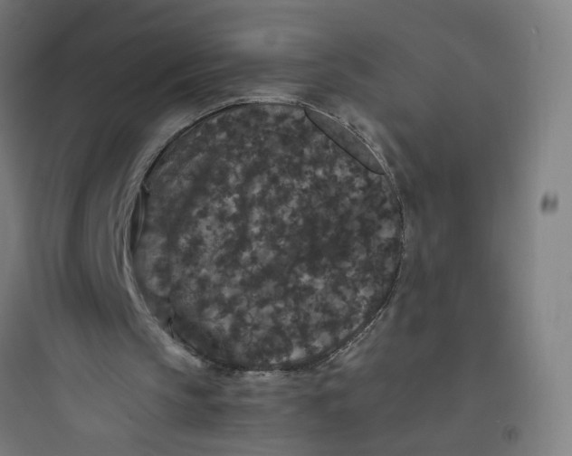 X0000093750145200711061056