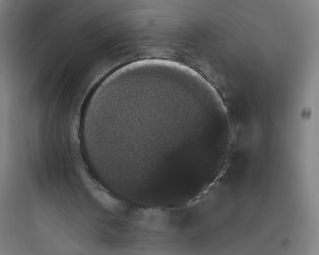 X0000093750146200711061056