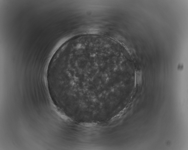 X0000093750147200711061056